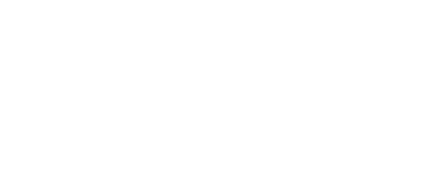 Tulum Snorkel Services